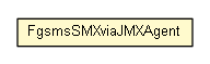 Package class diagram package FgsmsSMXviaJMXAgent